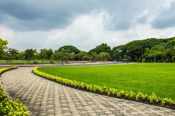 Walkway and lawn — Stock Photo, Image