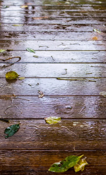 Gångväg med regn — Stockfoto