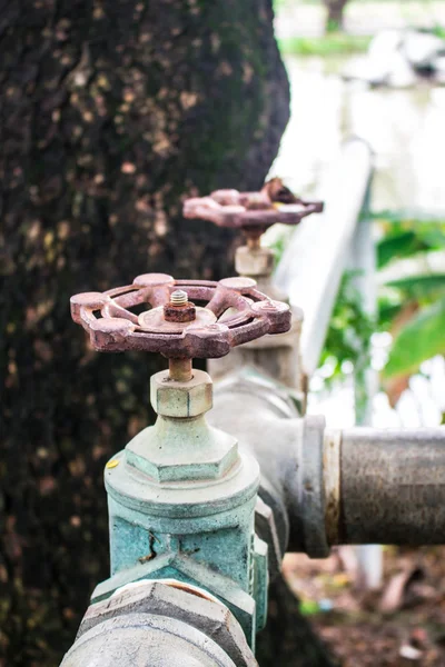 Wasserventil im Garten — Stockfoto