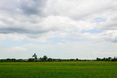 Gün batımında alan