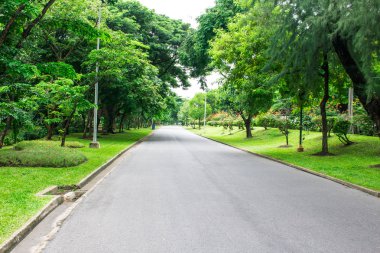 Bahçe yürüme yolu