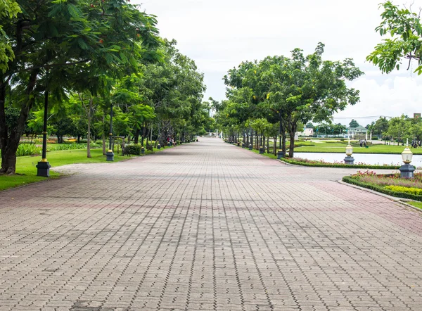 Garden Walkway — Stock Photo, Image