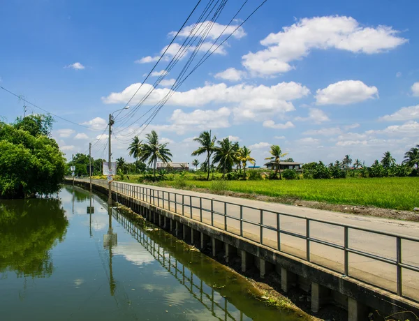 Lake Fields — Stock Photo, Image