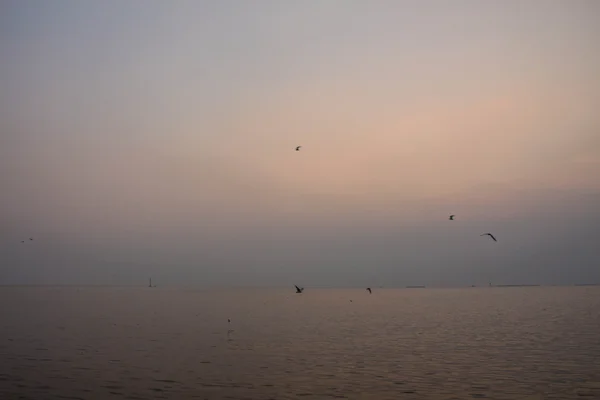 Mar após o pôr do sol . — Fotografia de Stock