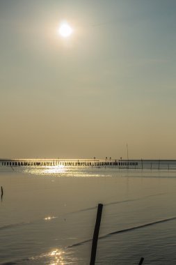 Deniz, güneş ışığı