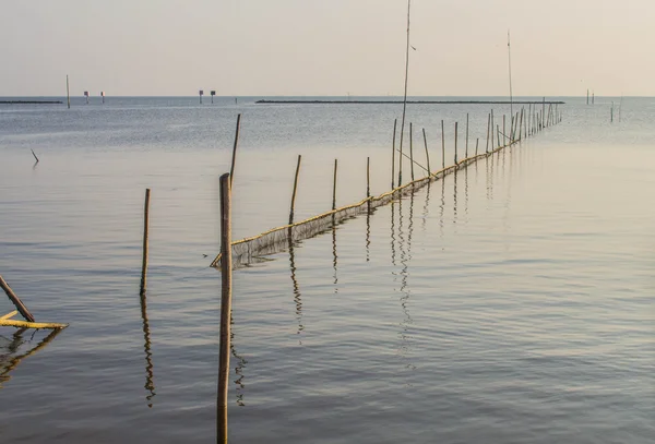 Denizin içinde bambu — Stok fotoğraf