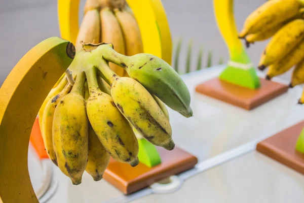 Bananas hanging — Stock Photo, Image