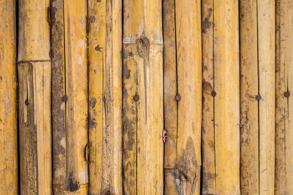 Het oppervlak van bamboe — Stockfoto