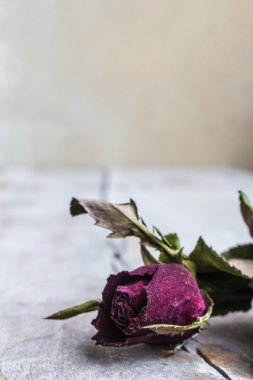 Ahşap zemin üzerinde kurutulmuş güller