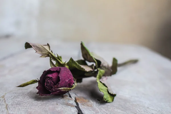 Kurutulmuş güller temsil eden tek bir — Stok fotoğraf