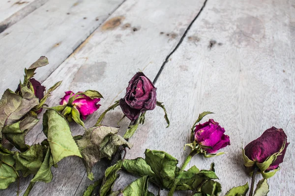 Dried roses arranged — Stock Photo, Image