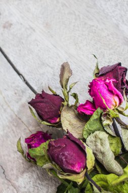 Gül odun yığını.