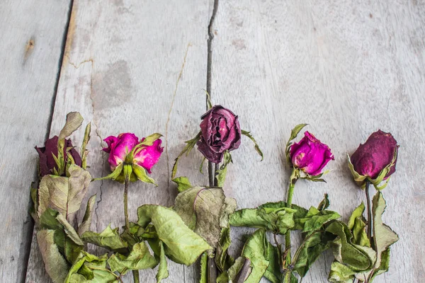 Bir tahta üzerinde kurutulmuş güller — Stok fotoğraf