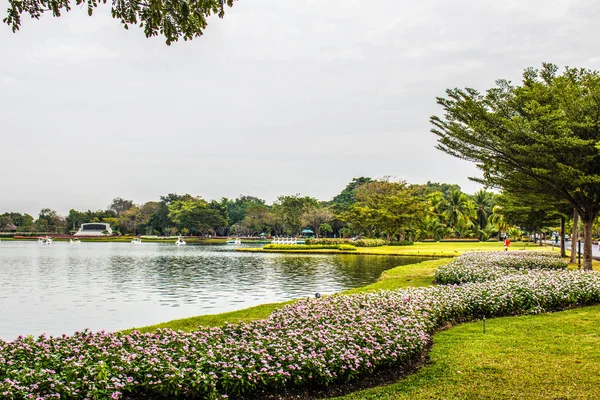 Fleurs sur le lac — Photo