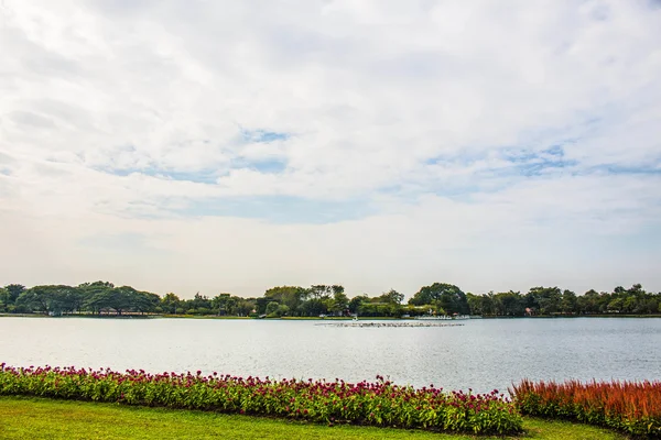 Jezioro w parku — Zdjęcie stockowe