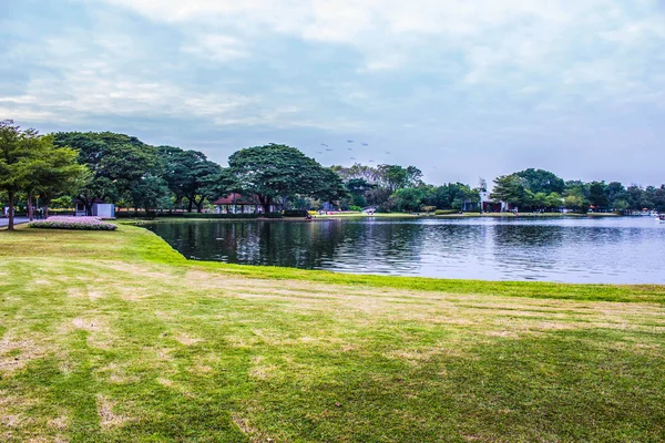 Trees along the lake — Stock Photo, Image