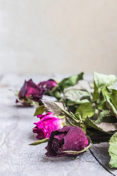 Roses arranged — Stock Photo, Image