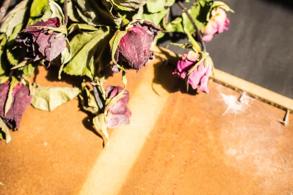 Rosa seca sobre un marco de madera . —  Fotos de Stock
