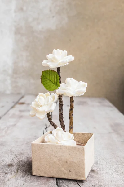 Flores en una caja — Foto de Stock