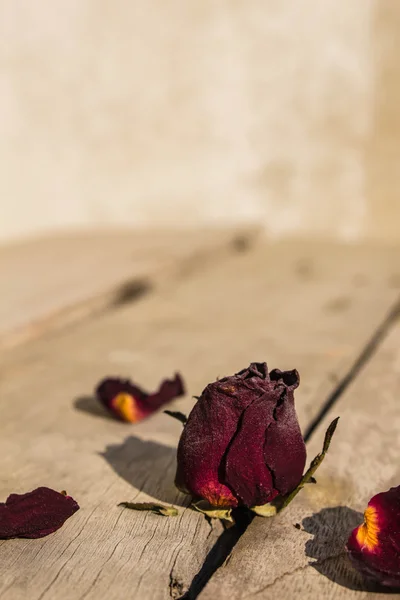 Dry rose on the wooden — Stock Photo, Image
