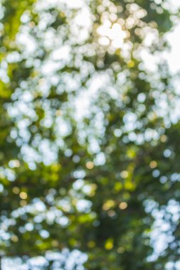 bokeh doğal aydınlatma 