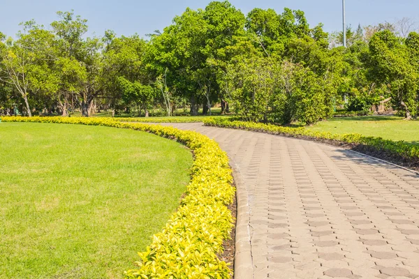 Grass and walk — Stock Photo, Image