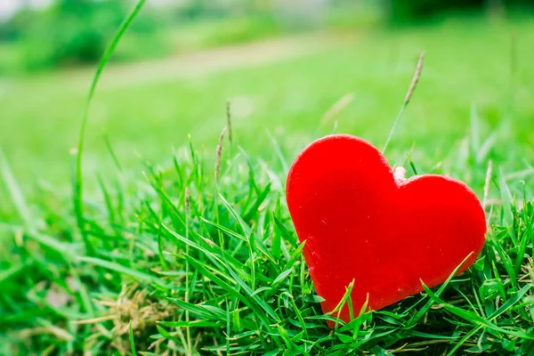 Hjärtat på gräs — Stockfoto