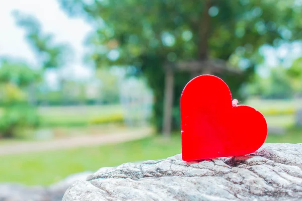 Forme di cuore su una roccia . — Foto Stock