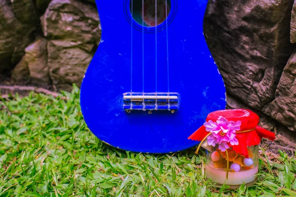 夏威夷四弦琴和礼物 — 图库照片