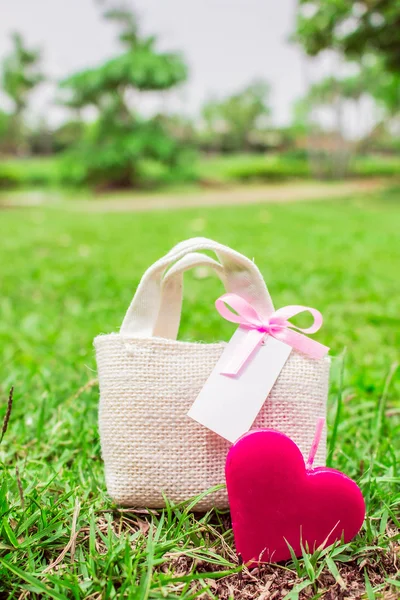 Kalp ve çim bir hediye çanta — Stok fotoğraf