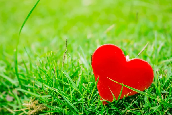 Cuore sul prato . — Foto Stock