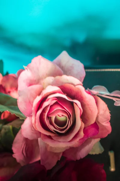 Rosas rosadas con borrosa —  Fotos de Stock