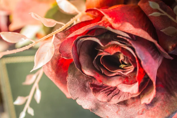 Red roses in top view. — Stock Photo, Image