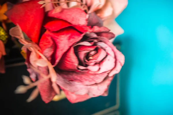 ぼやけた画像に赤いバラ — ストック写真
