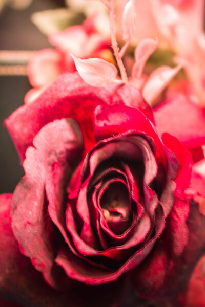 Красные розы с размытым изображением
 