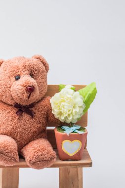 sandalye üzerinde oturan ayılar