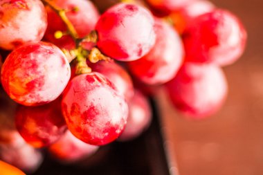 Doğal ışık için üzüm