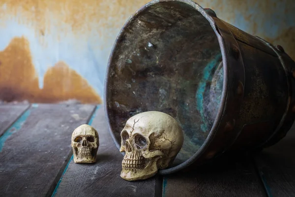 Crânio em um balde em madeira — Fotografia de Stock