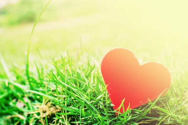 Hjärtat på en gräs — Stockfoto