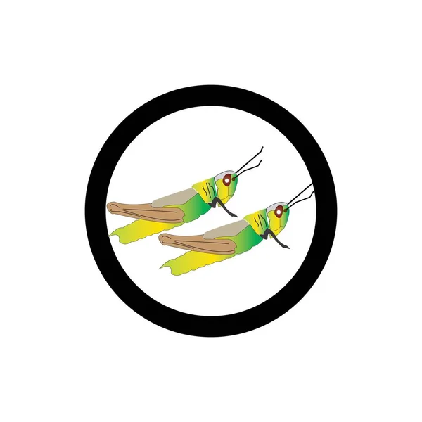 Diseño Vectorial Saltamontes Icono Ilustración Logo Templa — Vector de stock