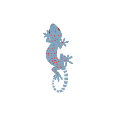 Gecko tasarım vektörü ilüstrasyon simgesi logo şablonu