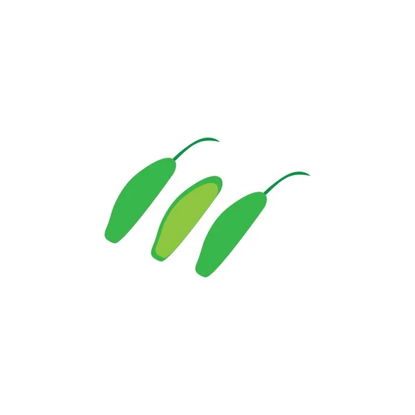 Cetriolo Design Ilustrazione Icona Logo Templat — Vettoriale Stock