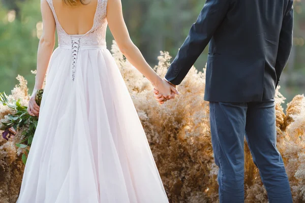 Evli çift geri duran ve elele