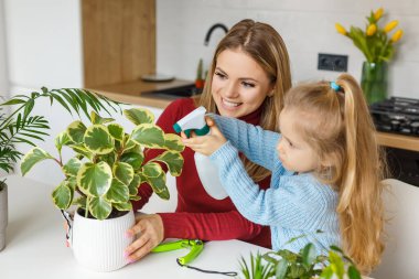 Küçük kız ve anne evdeki bitkileri ilaçlayıp temizliyor. 3 yaşındaki konsantre çocuk bitkilere bakması için annesine yardım ediyor. Hobi anlayışı, anaokulu eğlencesi ve ebeveynlik..