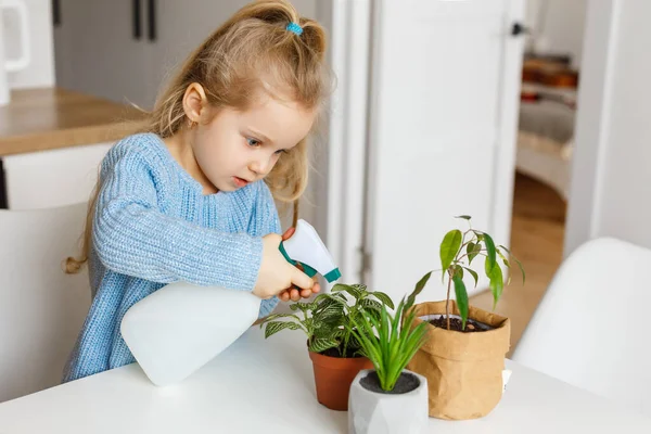 En liten flicka som sprutar krukväxter hemma. Koncentrerad 3-årig unge som hjälper till att vårda växter. — Stockfoto