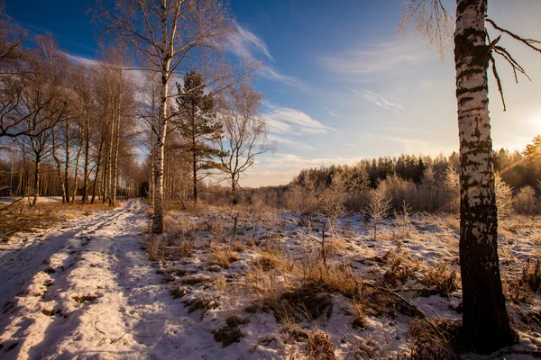 Paisagem inverno — Fotografia de Stock