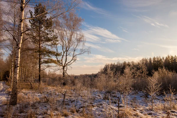 Paisaje invierno —  Fotos de Stock