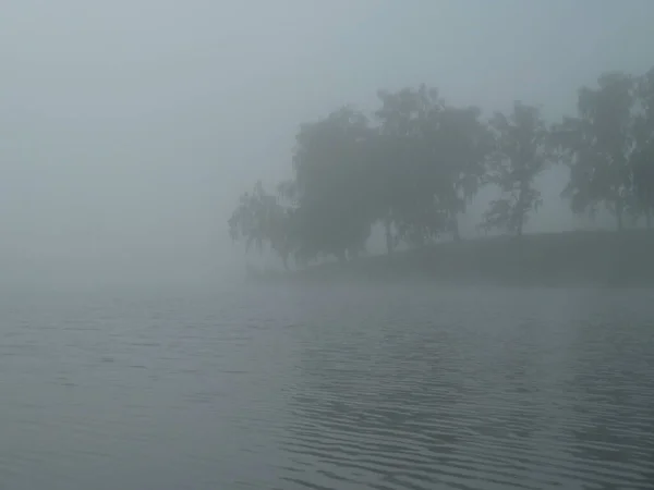 Göl Kenarında Sisli Bir Sabah — Stok fotoğraf