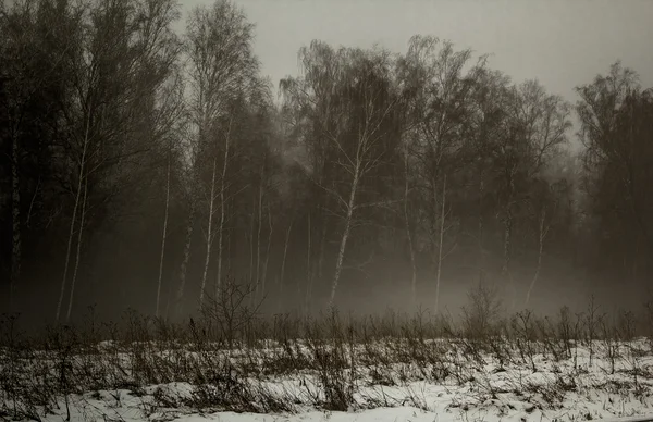 Mist in winter to working scaffolds — Stock Photo, Image