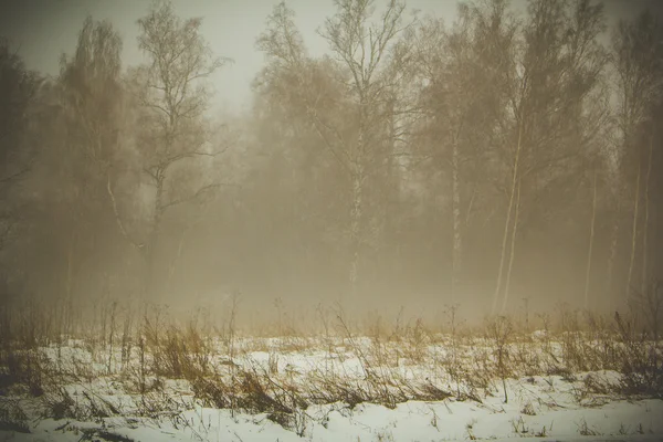 冬天的雾对工作的脚手架 — 图库照片